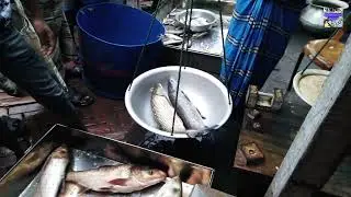 wholesale fish market in Bangladesh | Season-1Episode-10 | Khaloo Bazar_grass carp & bata fish price