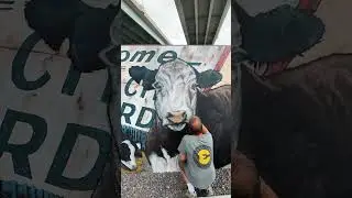 Stop Motion: Honoring the History of the Historic West Bottoms in Kansas City, Mural by Evolution