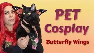 DIY Butterfly Cosplay Wings For Your Pet!