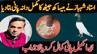 USTAD SHAHBAZ NE JAITH KA MUKMAL DANA PANI BTA DEA 