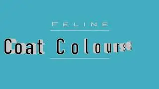 Feline Colours and Patterns - Variations!