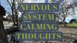 Internal Dialogue for a Blood Sugar Low/High to calm the nervous system - No ads Meditation