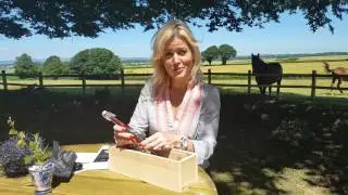 Lone Stag mini taster hamper