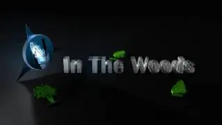 In The Woods (Original Mix)