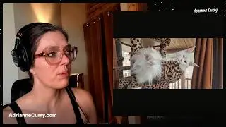 America's Next Top Avon Lady, NPC world, GRWM