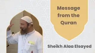 Message from the Quran? Sheikh Alaa Elsayed #quran #allah #islam #muslim #qurankareem