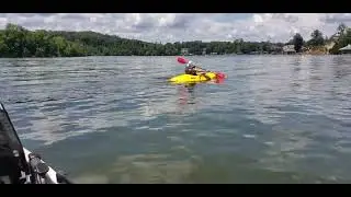 Canoeing and Kayaking, Wolftever Creek, Hampton on the Lake, Ooltewah, TN