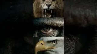 Why are humans the true apex predators of the natural world? #science #humans #didyouknow #fyp