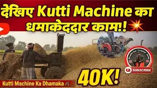 कुट्टी काटाई का असली वीडियो 💪 | Kisan Ki Mehnat Dekh Ke Sab Hairaan 😲 | Kutti Machine Power ! 🔥