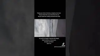The Ocean: A Beautiful, Terrifying Experience