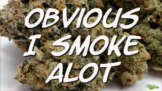 Obvious I Smoke Alot - DjRazor Ft.Smokey - OTL