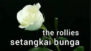THE ROLLIES - SETANGKAI BUNGA - lirik