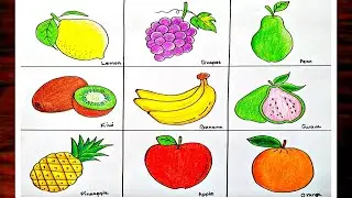 How To Draw Different Types Of Fruits|Fruits Drawing|Winter, Summer Season Fruits Easy For Beginners