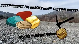 Rockhounding the Russian River for Neat and Bizarre Rocks! (FOSSILS FOUND!!!)