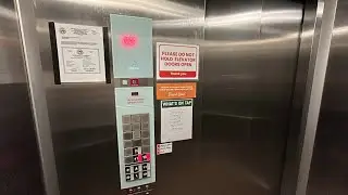 Schindler 3300 Elevator @ Mustard Seed Market & Cafe Akron Ohio