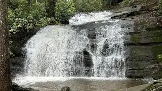 A.T. Mile Markers 0–8 Springer to Hawk Mtn. Shelter.
