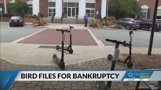 Electric scooter company Bird files for bankruptcy