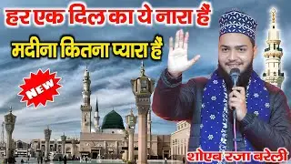 Har Ek Dil Ka Ye Nara Hai Madina Kitna Piyara Hai | Shoaib Raza Barelvi New Naat | Naat Shareef