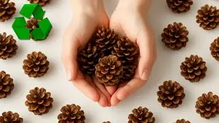 Stylish Home Decoration with Natural Materials That Will Win Your Heart 🍁🌲