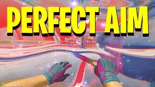 PERFECT AIM CONFIG 🔥 1024x 768 x 1.6 SENSITIVITY 400DPI  (CS2 Montage)