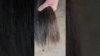 Horse Tail Care and Horse Show Grooming Hack to Cover Bleached Hair