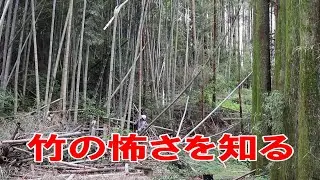 竹藪は危険‼気持ちを引き締めて竹藪整備に取り掛かる