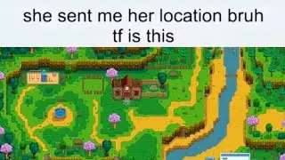 old vid