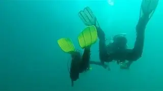 Cool Marriage Proposal - Underwater diving