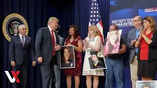 Trump Highlights 