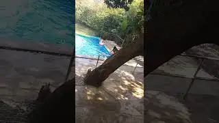 Florida Water #waterfall #shorts
