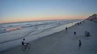 Thrivin' N Flyin' on the Pier and Beach