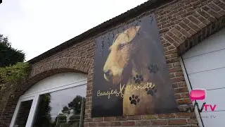 Baasjes Mooiste - Aalter