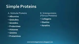 Classification of Proteins