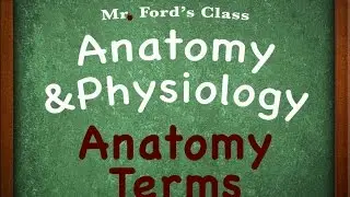 Introduction To Anatomy Physiology: Anatomy Terms (01:02)