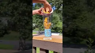Orange Cake BlendJet Recipe