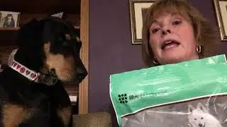 How to keep your Dog & Cat food FRESH!