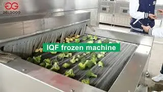 Frozen Vegetable Production Line In Frozen Vegetable Factory