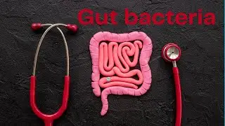 Microbiome Magic:  Your Diet's Impact on health