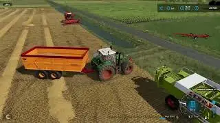 tarwen oogsten klaar