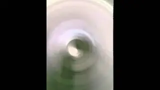 Frisbee's point of view