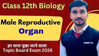 Male Reproductive Organ Class 12th Biology | Board Exam CUET NEET 2026