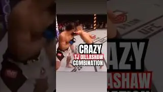 How To Strike Like TJ Dillashaw #howto #tutorial #mma #boxing #kickboxing #muaythai #bjj #wrestling