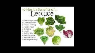 10 Health Benefits Of Lettuce