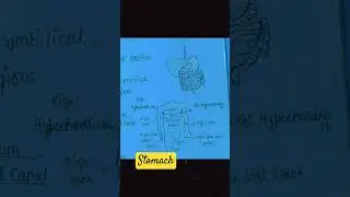 @NURSING-VALA#stomach#humanity#human #physicswallah#motivation#hits#comedy#nursing#meditation #pw