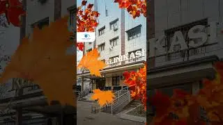 Клиника 