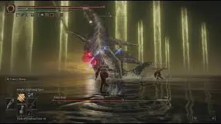 Beat Radagon & The Elden Beast for a Random