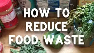 How to reduce food waste during the pandemic - Homesteader Tips