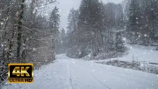 Countryside forest snow falling winter road - ASMR sounds - Relaxation video - 8 hours in 4k quality