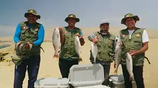 Capítulo 1: Receteando El Mar