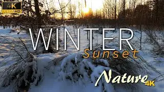 4K Stunning Winter Sunset in Poland Beautiful Nature with Relaxing Music for Forest meditation Movie